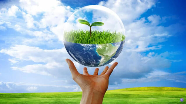 Frutiger Eco Wallpaper